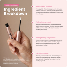 Load image into Gallery viewer, Bello Eyebrow Serum
